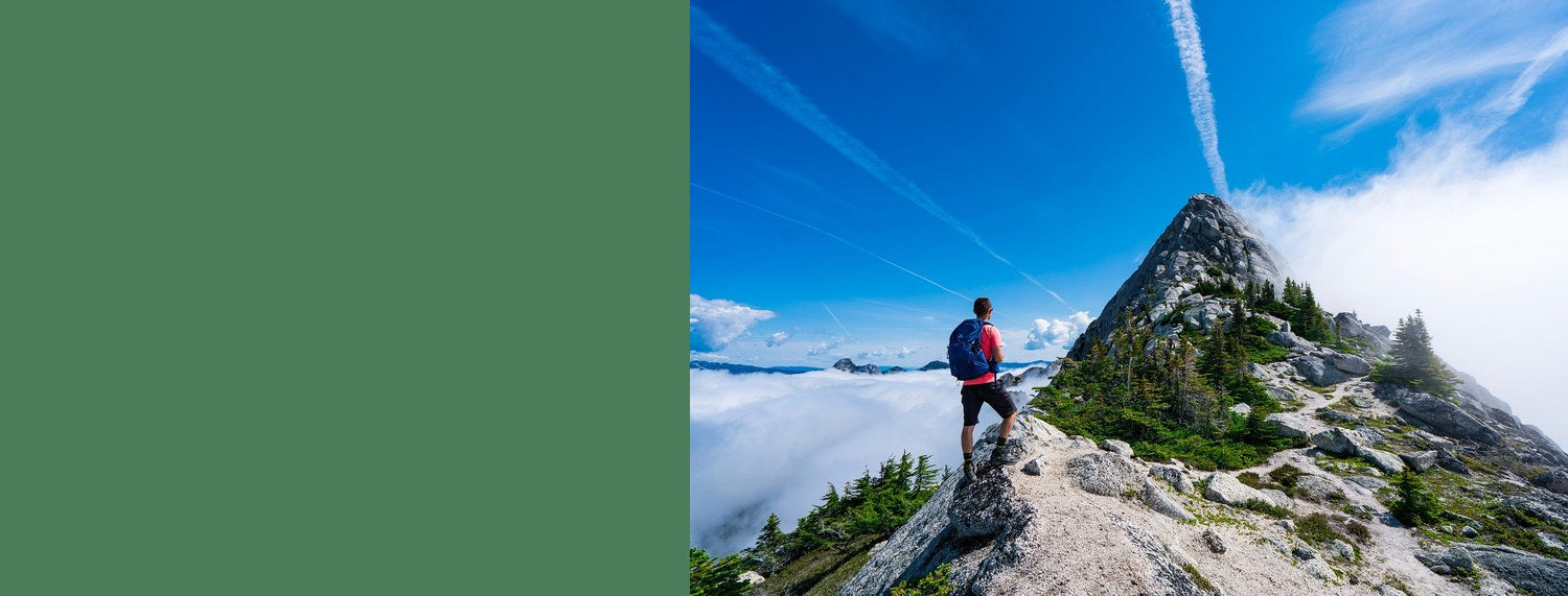 Hunde Rucksack zum Wandern: Der große Outdoor-Ratgeber