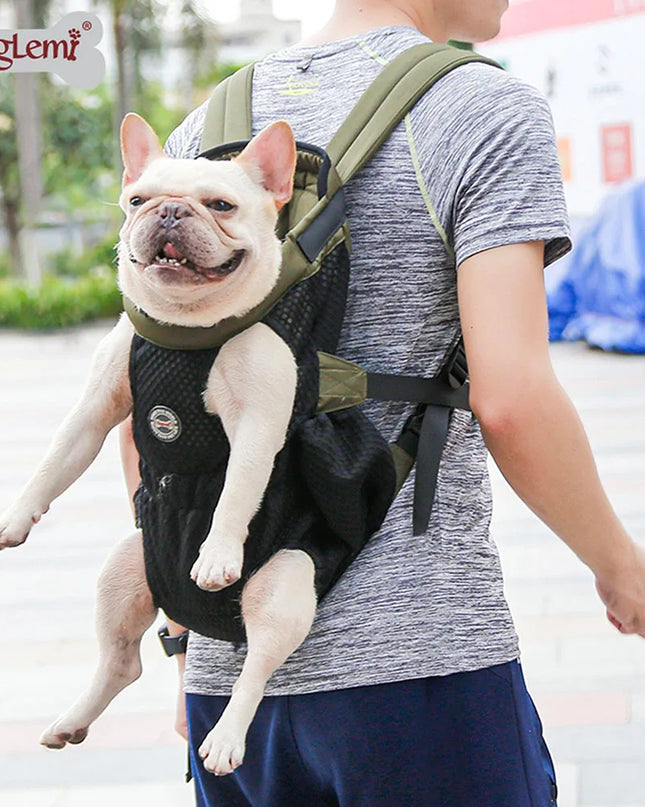 Hunde Rucksack Schwarz Atmungsaktiv