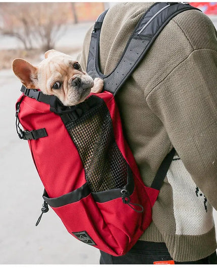 Wander-Rucksack für Hunde in Blau