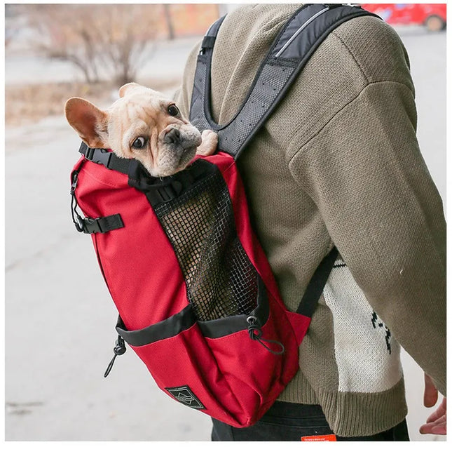 Hunde Rucksack Schwarz – Atmungsaktiv &