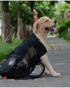 Black / XL(12-15kgs)