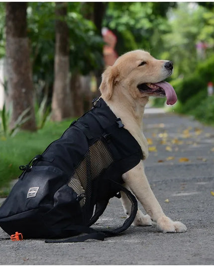 Hunde Rucksack Schwarz – Atmungsaktiv &