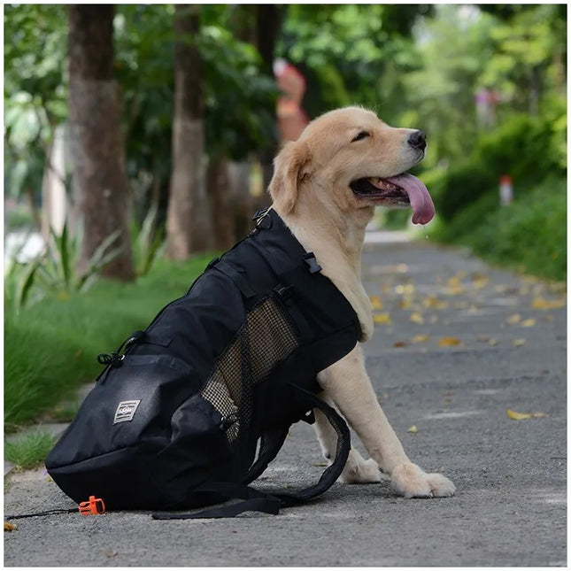 Hunde Rucksack Schwarz – Atmungsaktiv &