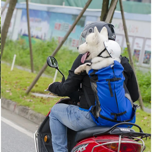 Wander-Rucksack für Hunde in Schwarz