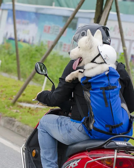 Hunde Rucksack Grau - Atmungsaktiv & Robust