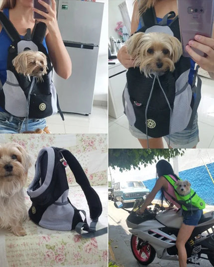 Doppel-Schulter Hunde Rucksack Orange