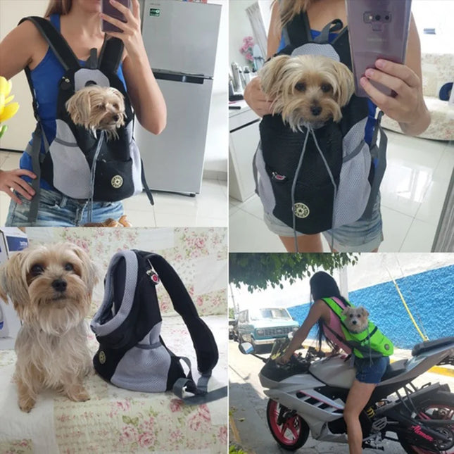 Blauer Hunde Rucksack mit Netz für Ausflüge