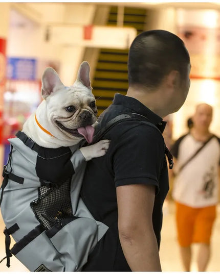 Hunde Rucksack Grau - Atmungsaktiv & Robust