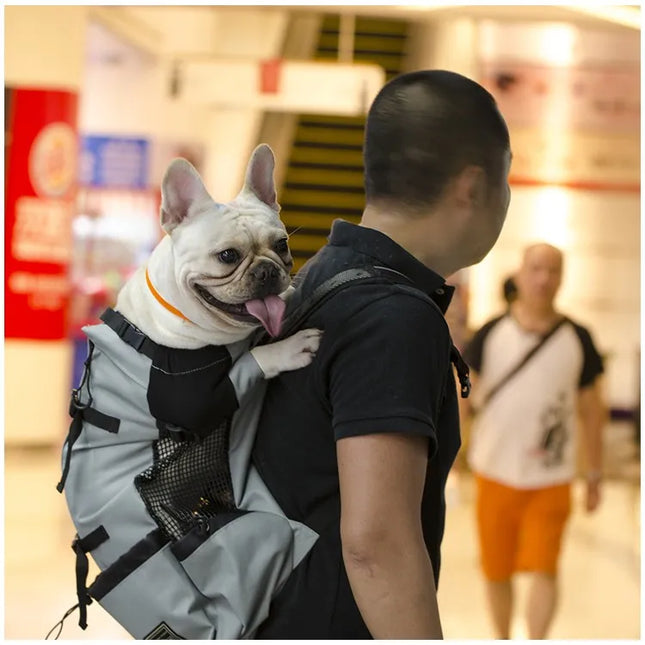 Hunde Rucksack Grau - Atmungsaktiv & Robust