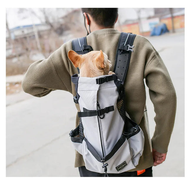Wander-Rucksack für Hunde in Rot