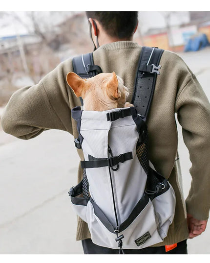 Wander-Rucksack für Hunde in Schwarz