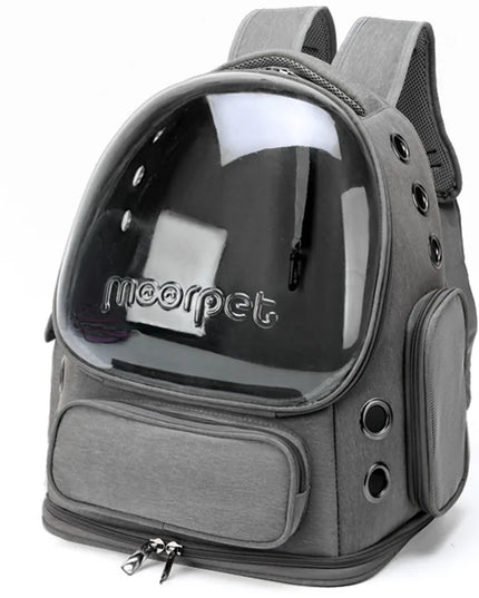 Katzen Rucksack Transparent Faltbar