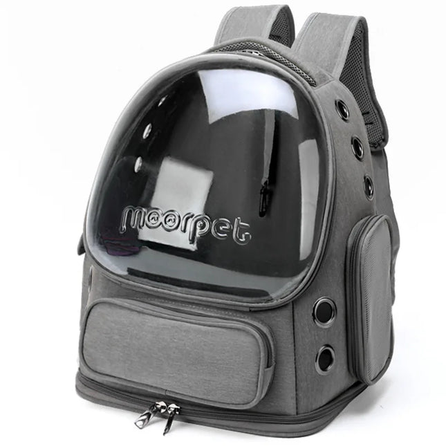 Katzen Rucksack Transparent Faltbar