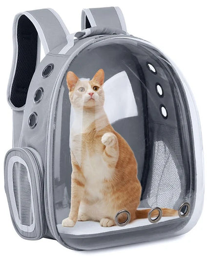 Katzen Transport-Rucksack Transparent ohne