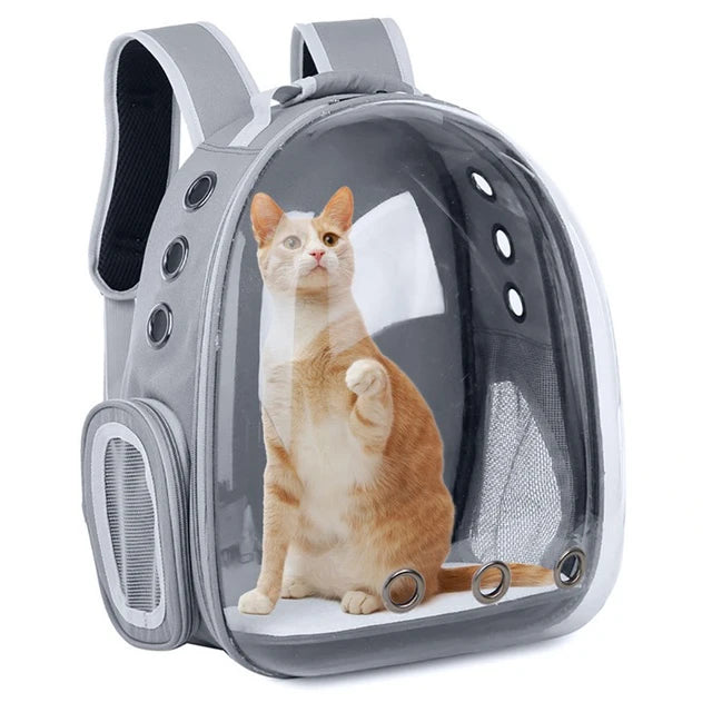 Katzen Transport-Rucksack Transparent ohne