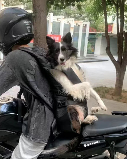 Hunde Rucksack Atmungsaktiv Schwarz-Rot