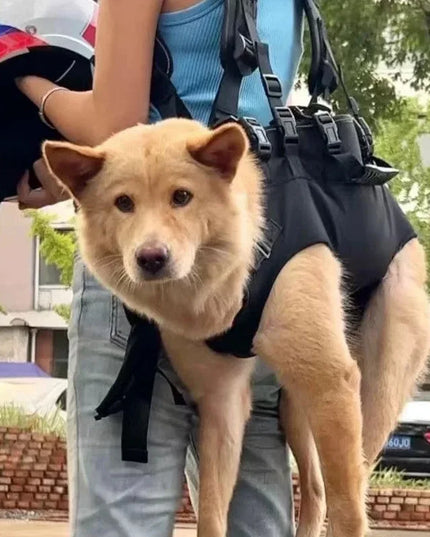 Hunde Rucksack Blau für Outdoor & Wanderung