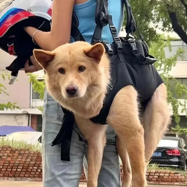 Hunde Rucksack Schwarz für Outdoor & Reisen