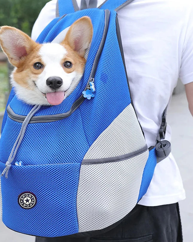 Hunde Rucksack Schwarz für kleine Hunde