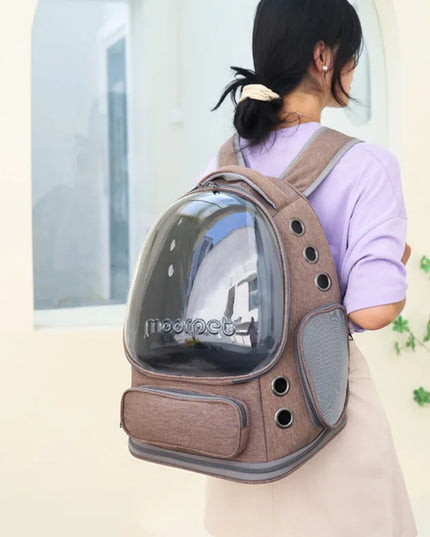 Katzen Rucksack Transparent Faltbar