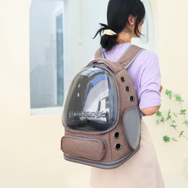 Katzen Rucksack Faltbar Transparent