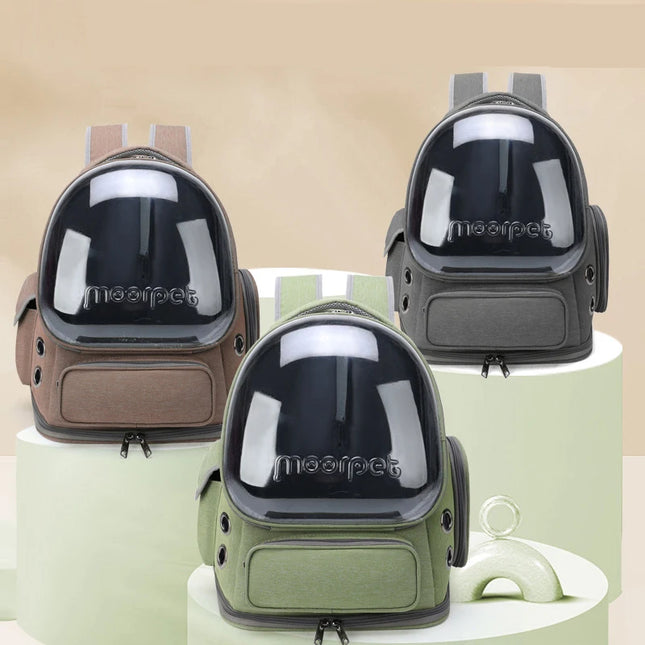 Katzen Rucksack Faltbar Transparent