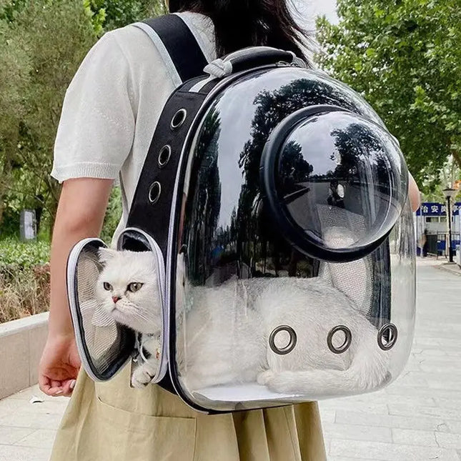 Transparenter Katzen Rucksack Rot