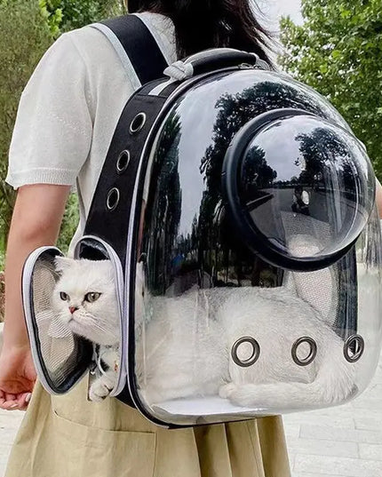 Katzen Rucksack Transparent für kleine Hunde