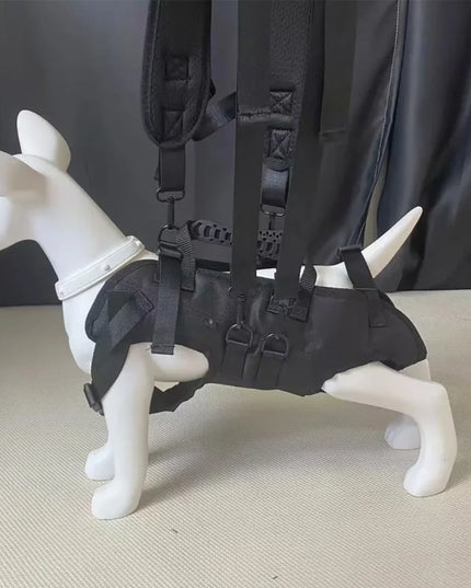 Hunde Rucksack Schwarz für Outdoor & Reisen