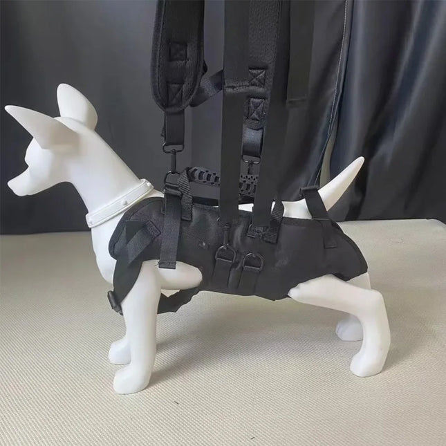 Hunde Rucksack Rot für Outdoor & Wanderungen