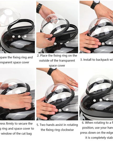 Transparenter Katzen Rucksack Grün