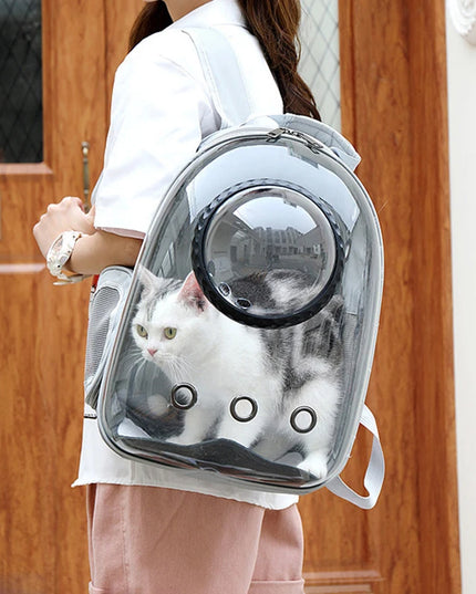 Katzen Transport-Rucksack Transparent ohne