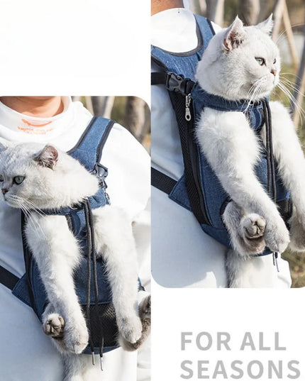 Hunde Rucksack Grau für kleine Hunde & Katzen