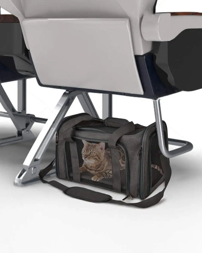 Transport-Rucksack für kleine Hunde & Katzen