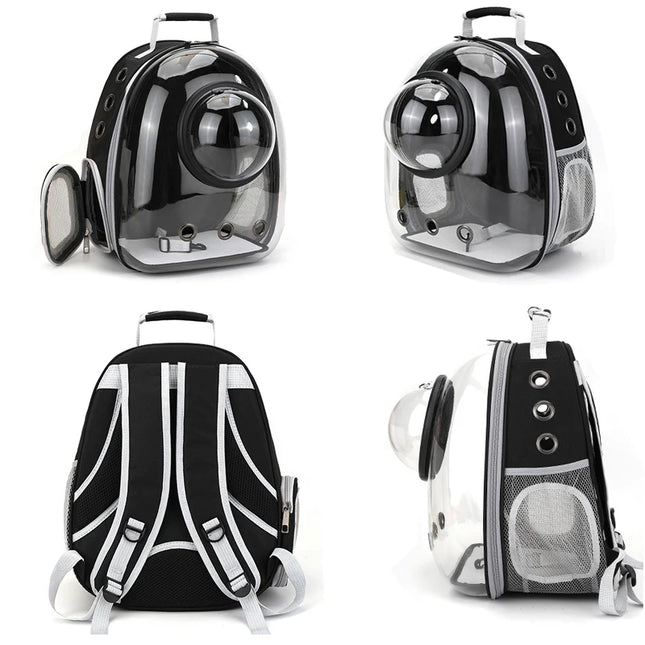Transport-Rucksack Transparent -