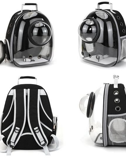 Transparenter Katzen Rucksack Grau