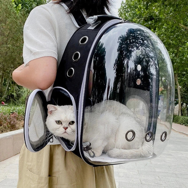Transparenter Hunde Rucksack Grün