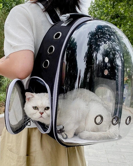 Katzen Rucksack Transparent für kleine Hunde