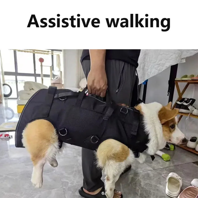 Hunde Rucksack Blau für Outdoor & Wanderung
