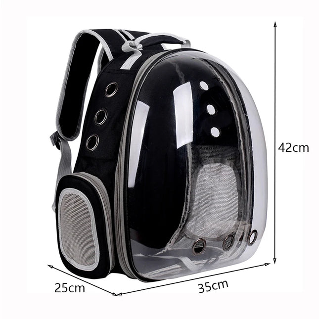 Katzen Rucksack Transparent Schwarz