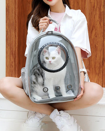Katzen Transport-Rucksack Transparent ohne