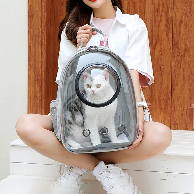 Katzen Transport-Rucksack Transparent ohne