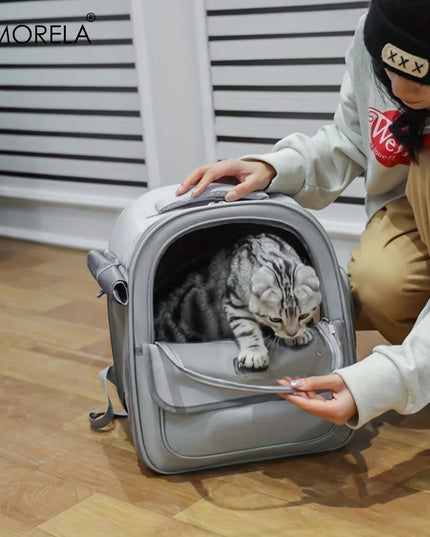 Transport-Rucksack Grau – Faltbar & Belüftet
