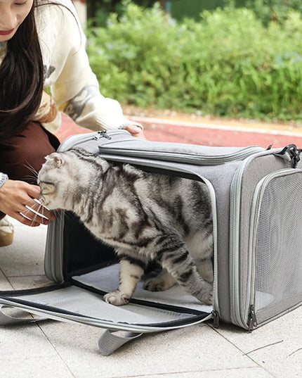 Transporttasche Blau Faltbar für Hunde Katzen