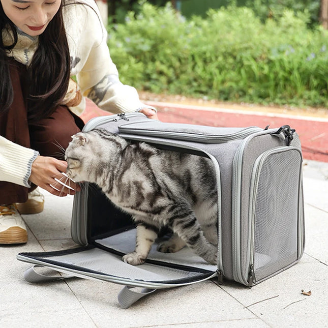 Transporttasche Blau Faltbar für Hunde Katzen