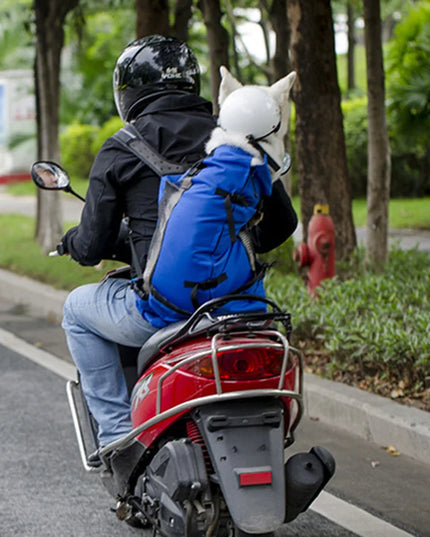 Hunde Rucksack Atmungsaktiv für Kleine &