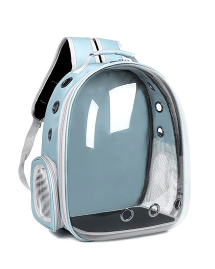 Katzen Rucksack Transparent Blau
