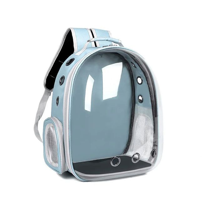 Katzen Rucksack Transparent Blau