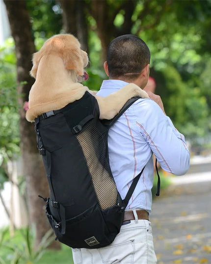 Hunde Rucksack Atmungsaktiv für Kleine &