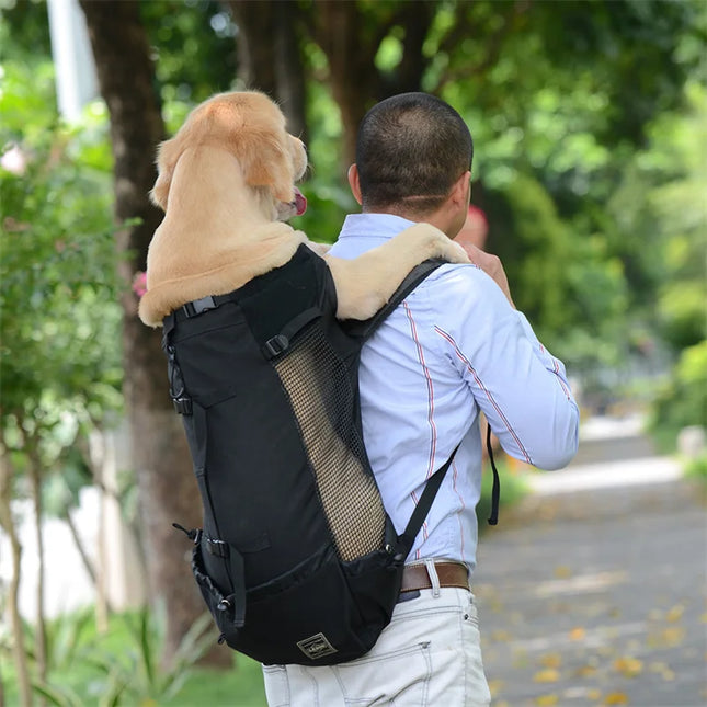 Hunde Rucksack Atmungsaktiv für Kleine &